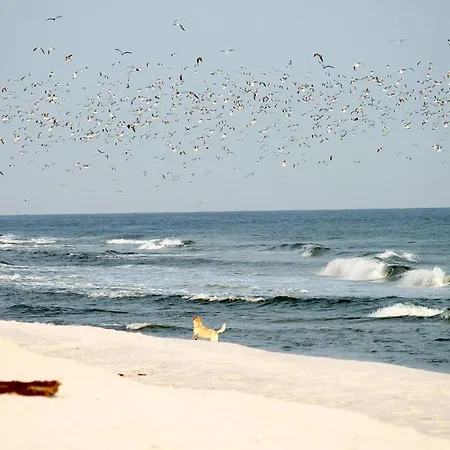 White Pearl 0.12 Апартаменты Тиммендорфер-Штранд