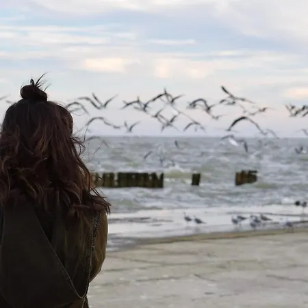 White Pearl 0.12 Апартаменты *